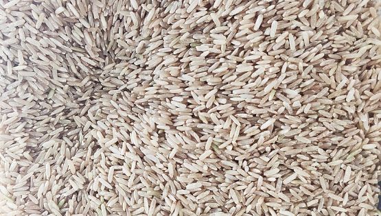 "Abastecimento de arroz está garantido", afirmam produtores gaúchos