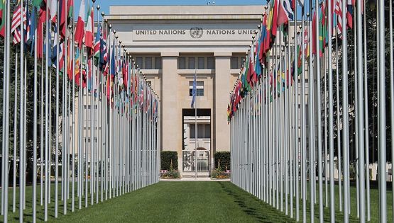 Entidades vão à ONU para denunciar impacto da desigualdade fiscal sobre mulheres