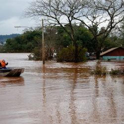 Plataforma permite encontrar pessoas desaparecidas no Rio Grande do Sul