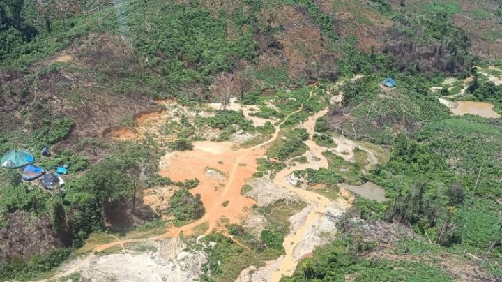 Mineração: 870 garimpos operam em áreas de conservação autorizados pela ANM