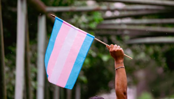 STF inicia julgamento sobre pensão militar para filha transexual