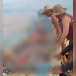 Barco é encontrado com corpos em decomposição no Pará; PF investiga