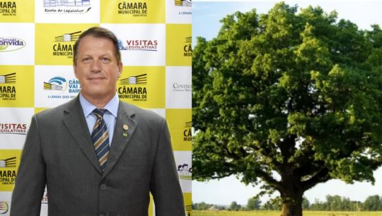 Vereador bolsonarista culpa árvores por tragédia climática no Sul