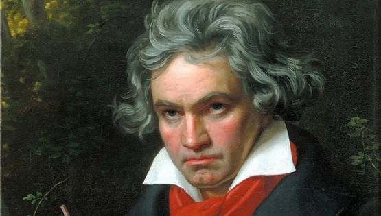 Cientistas descobrem relação entre surdez de Beethoven e o vinho; entenda