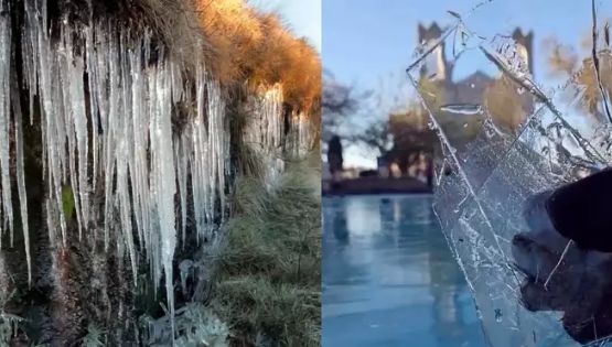 Sul enfrenta geadas e temperaturas negativas; cidade de SC registrou -7ºC