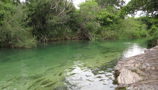 Bonito: rios de cidade turística do MS estão contaminados por agrotóxicos, diz estudo