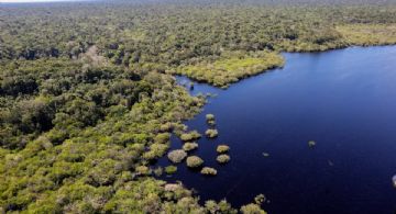Efeito Lula: Desmatamento em áreas protegidas da Amazônia é o menor em 10 anos